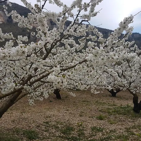Feriehus La Vigne Sur Les Hauteurs De Millau