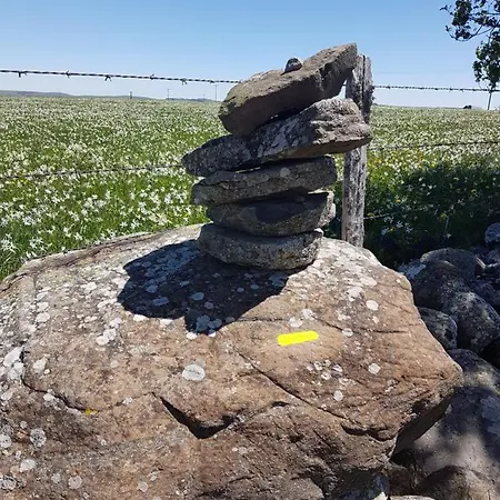 La Vigne Sur Les Hauteurs De Millau