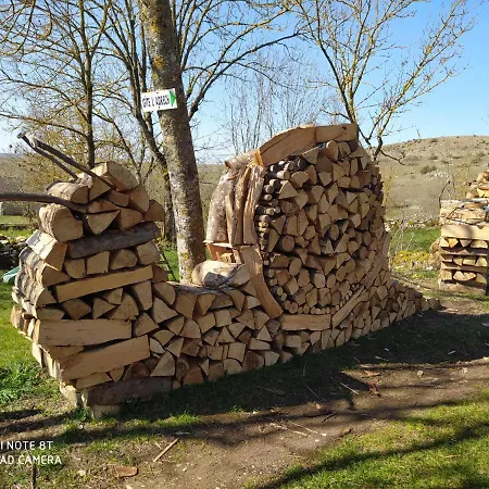 La Vigne Sur Les Hauteurs De *