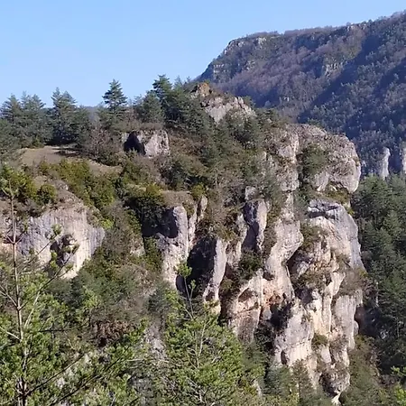 La Vigne Sur Les Hauteurs De * Millau